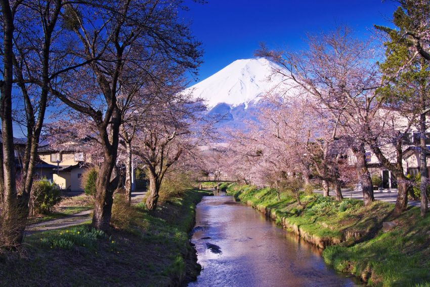 Parc National de Fuji-Hakone-Izu
