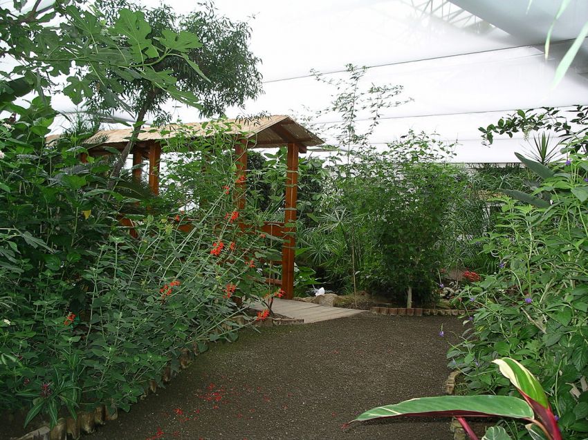 Jardin des papillons Grevenmacher