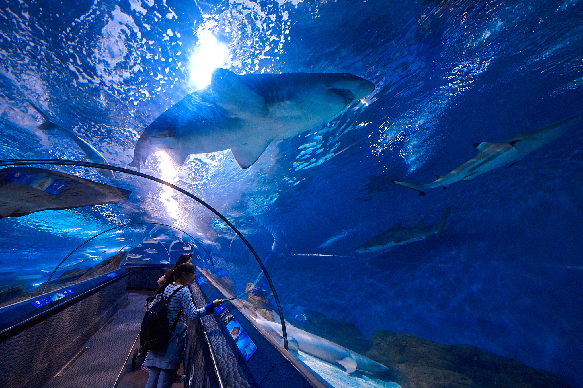 Ocean Aquarium 7toucans | Share your experience