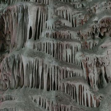 2020101400484925534.jpg